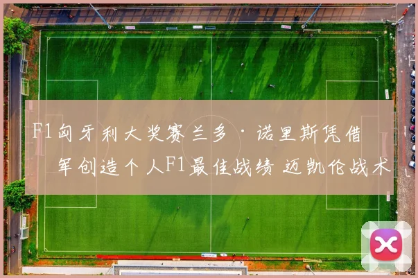 F1匈牙利大奖赛兰多·诺里斯凭借亚军创造个人F1最佳战绩 迈凯伦战术执行与车手抗压表现成就突破 深度勾画争冠蓝图