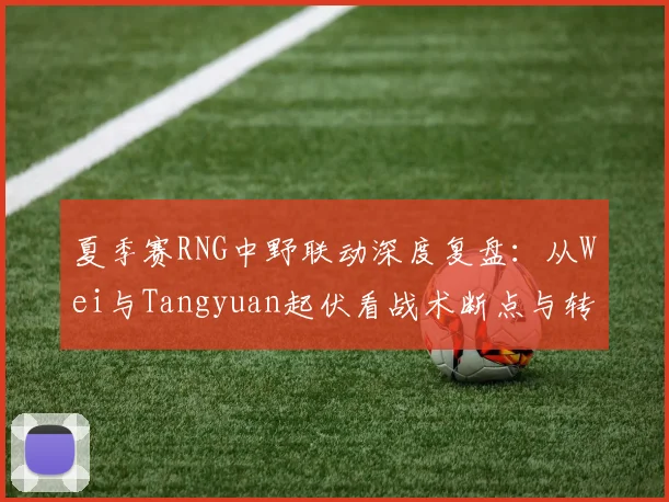 夏季赛RNG中野联动深度复盘:从Wei与Tangyuan起伏看战术断点与转型方向