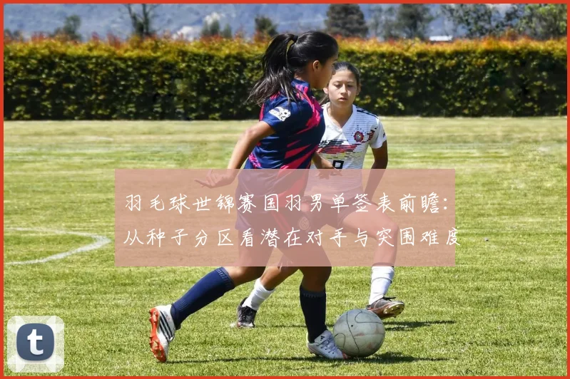羽毛球世锦赛国羽男单签表前瞻:从种子分区看潜在对手与突围难度